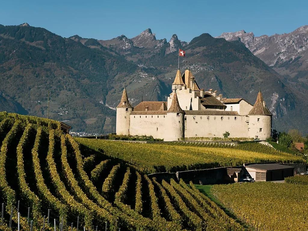 Château d'Aigle, vignes et montagnes du Chablais