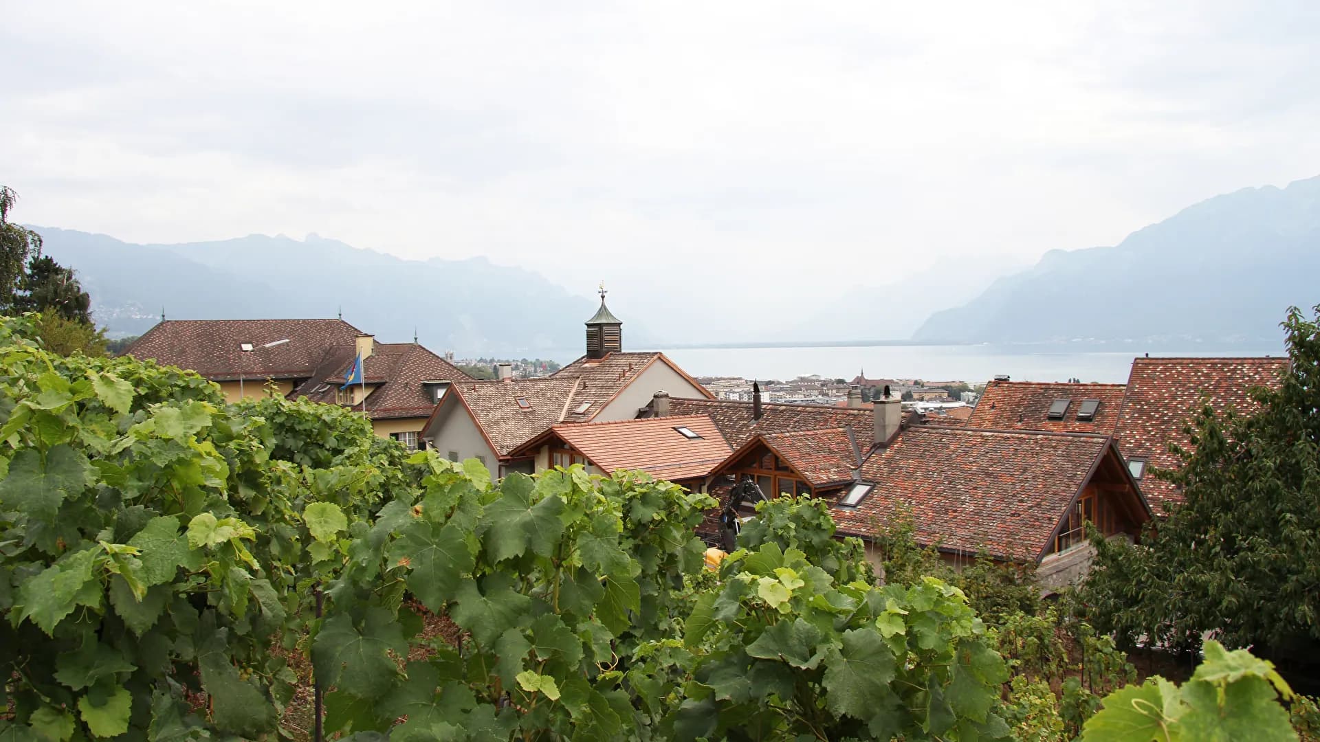Vue de Corseaux, des vignes et du lac Léman