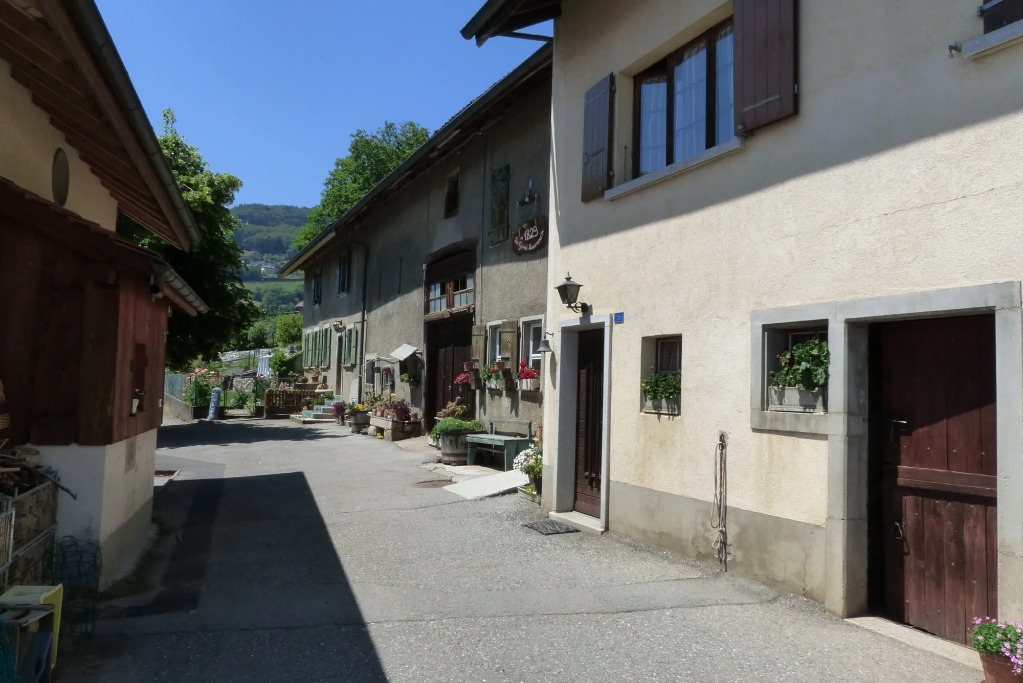 Ruelle villageoise et maisons traditionnelles à Jongny